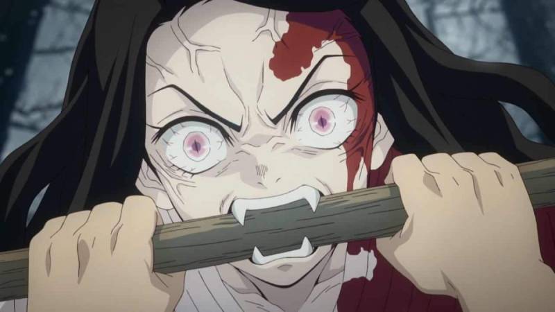 Demon Slayer Kimetsu no Yaiba