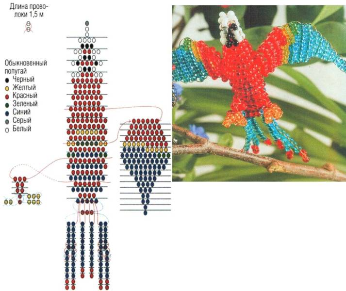 Бисероплетение схемы попугай для начинающих