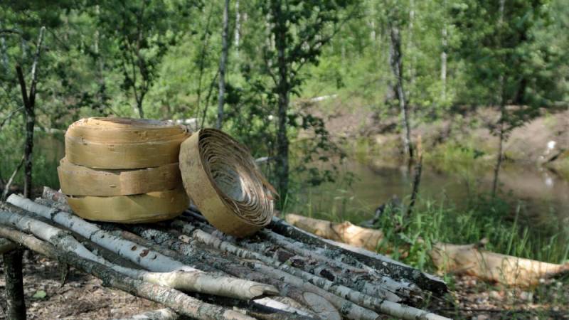 Виктор Александрович Яворский картины из бересты