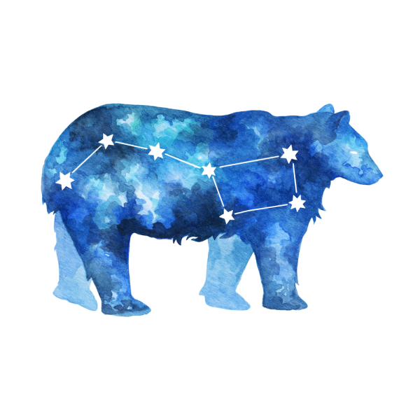 Большая Медведица (Ursa Major)