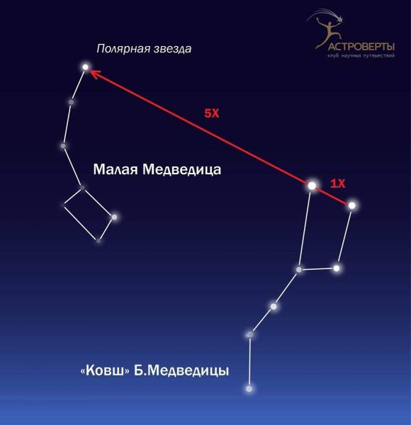  Большая медведица созвездие поделка в школу 63