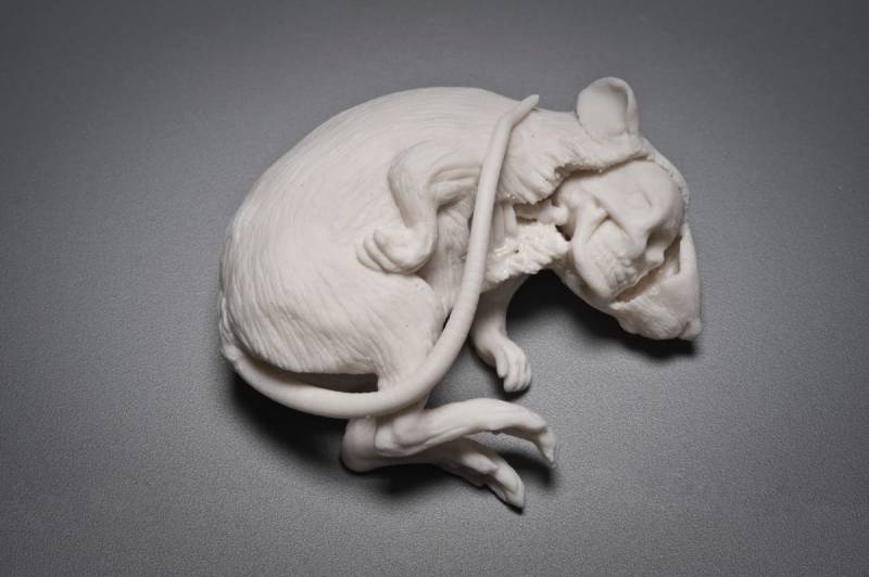 Скульптуры Kate MACDOWELL