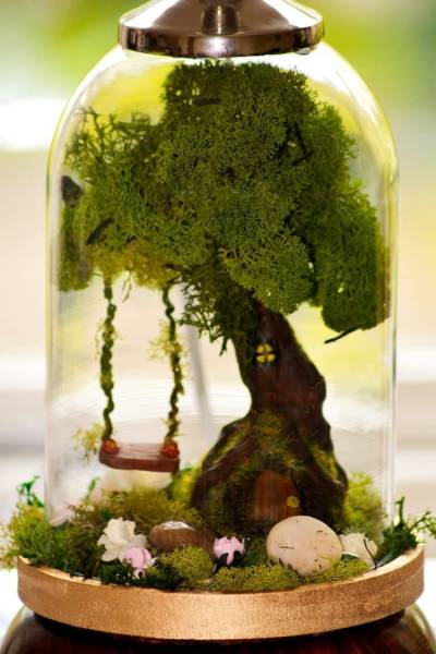 Terrarium Moss террариумный мох