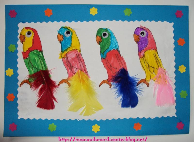 Craft with Colours Parrot