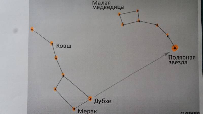  Поделка маленькая медведица 11