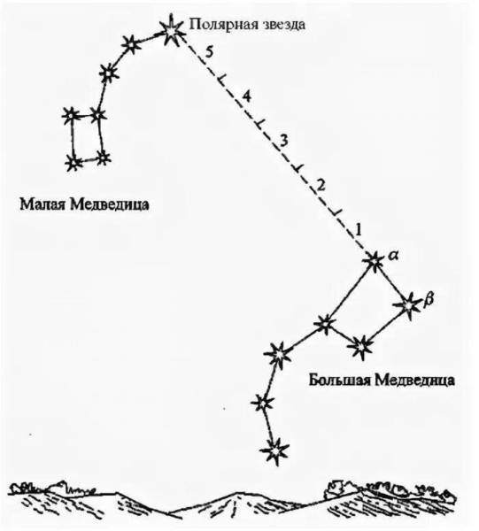  Поделка маленькая медведица 10