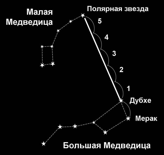  Поделка маленькая медведица 4