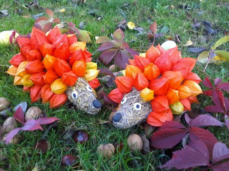 Осенняя поделка из физалиса в детском саду