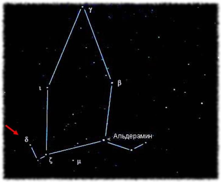 Созвездие Цефей самая яркая звезда