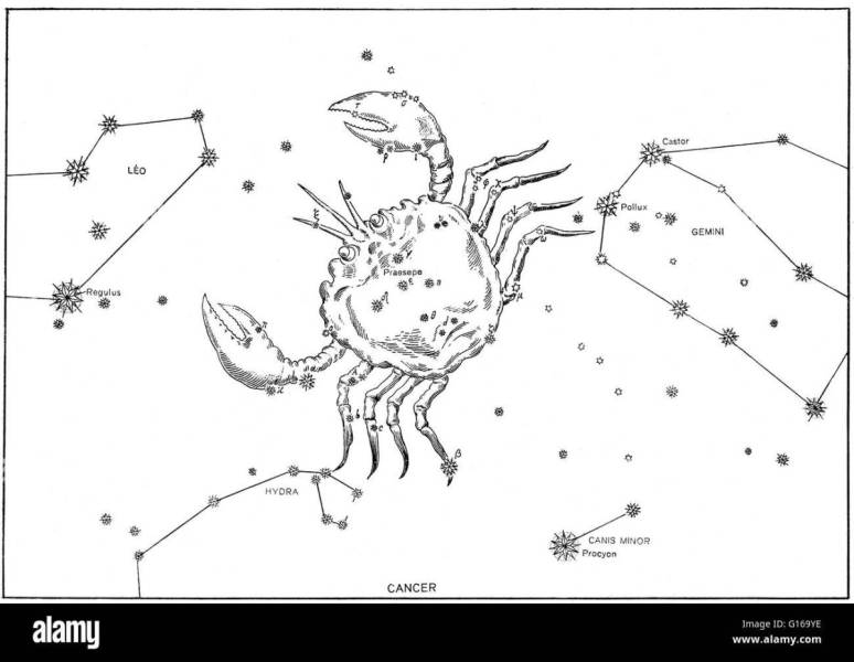  Поделка созвездие рака рисунок 14