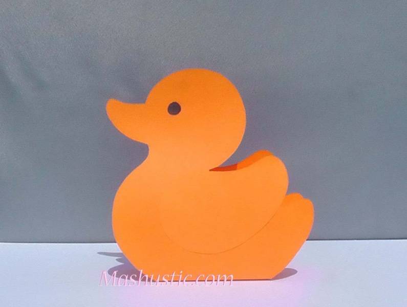 Paper Duck Accessories