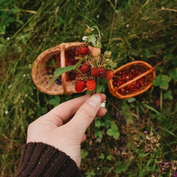 Ягодные украшения из полимерной глины