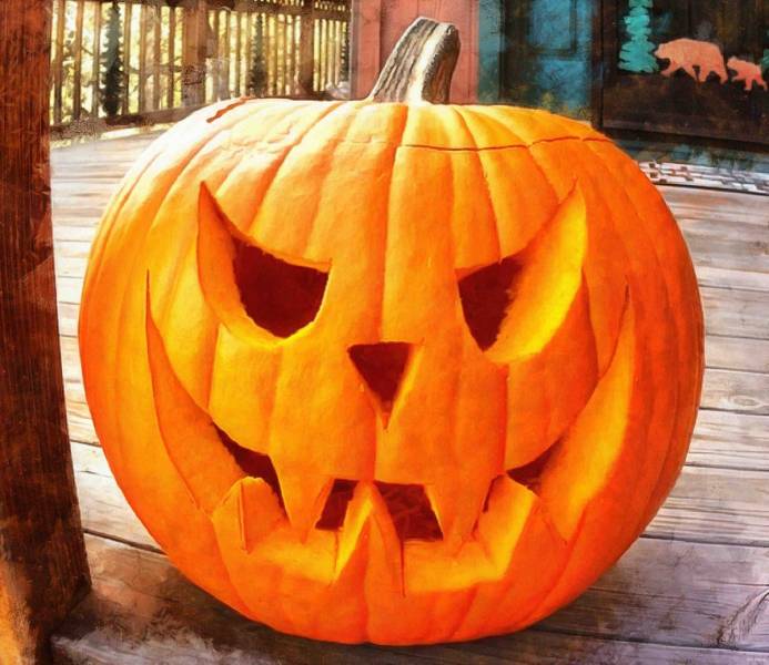 Jack-o-Lantern сорт тыквы