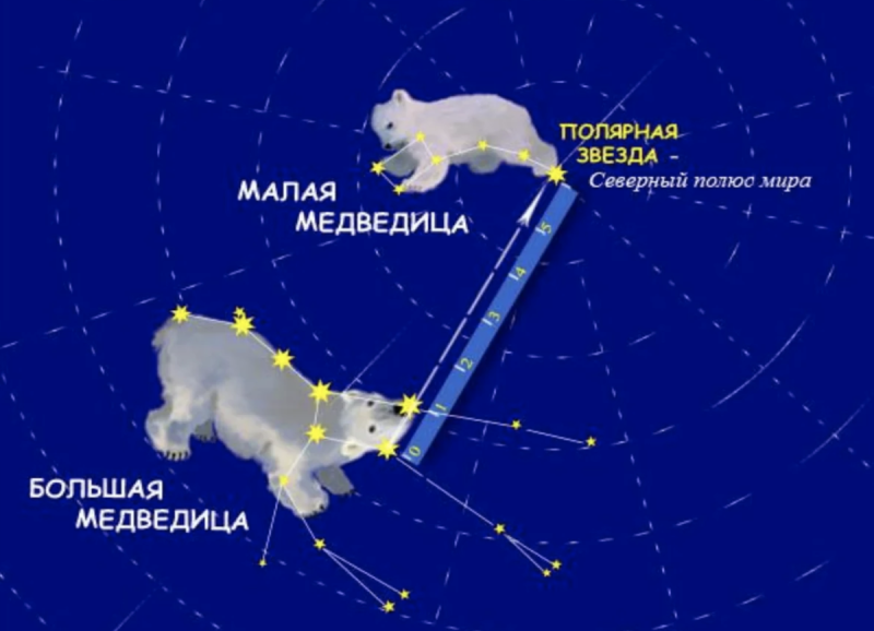 Созвездие большой и малой медведицы и Полярная звезда