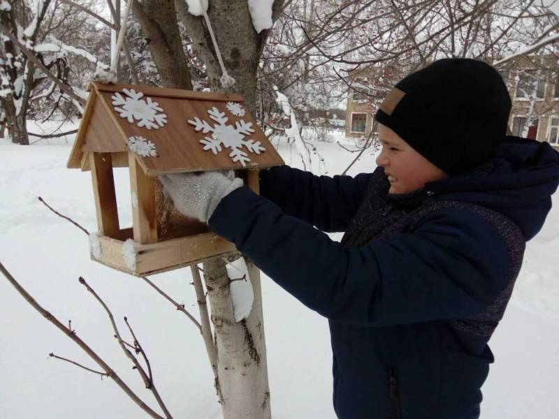 Развешивание кормушек для птиц