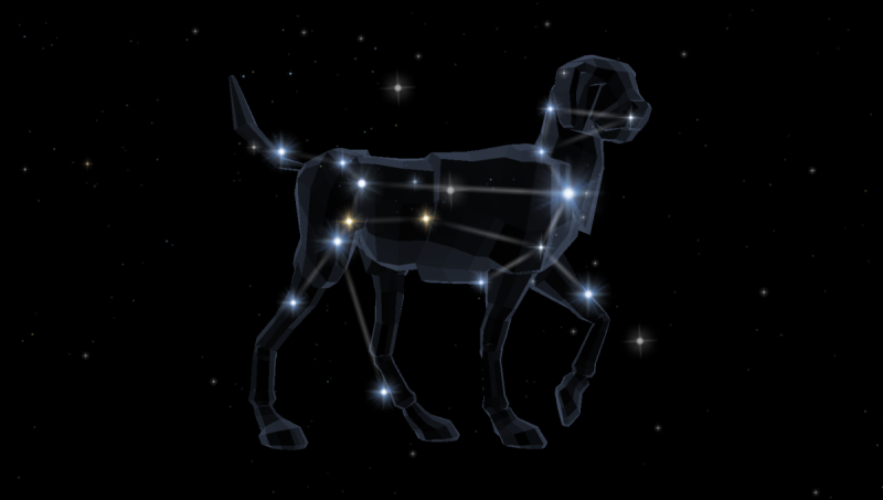 Canis Major Созвездие