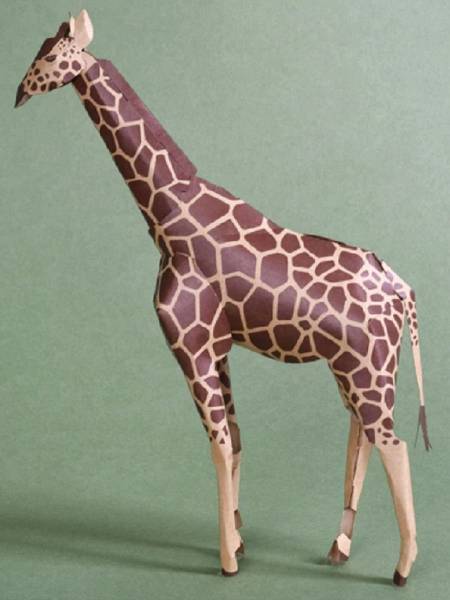 3д paper Giraffe Craft