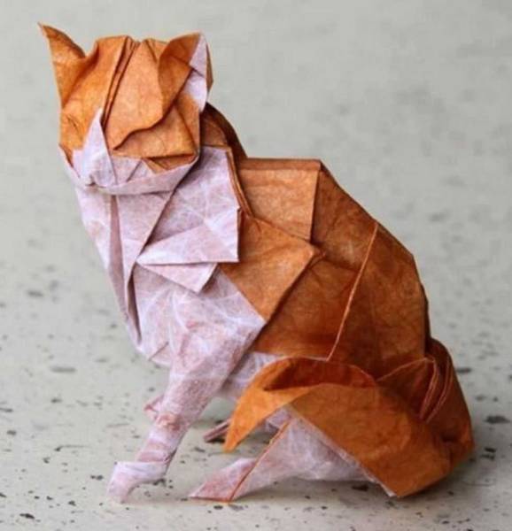 Katsuta Kyohei Origami