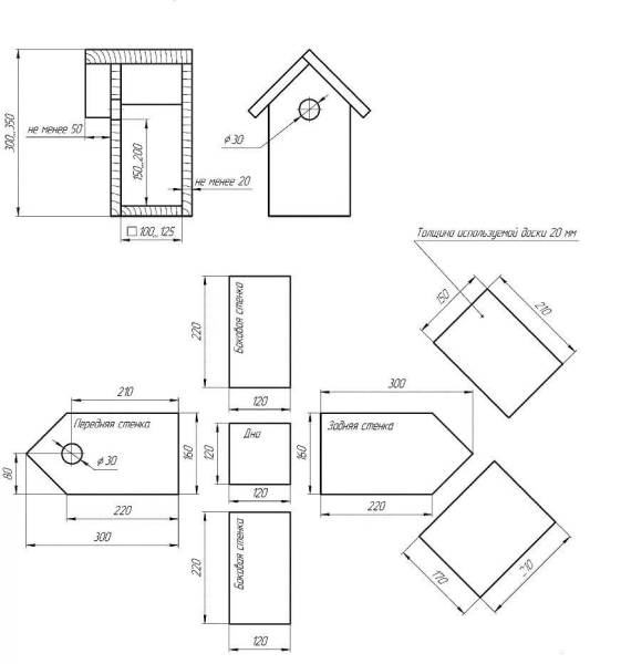 Правильные Размеры скворечника чертеж для Скворцов