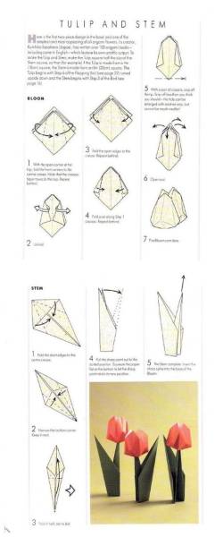 Тюльпан из бумаги схема пошагово