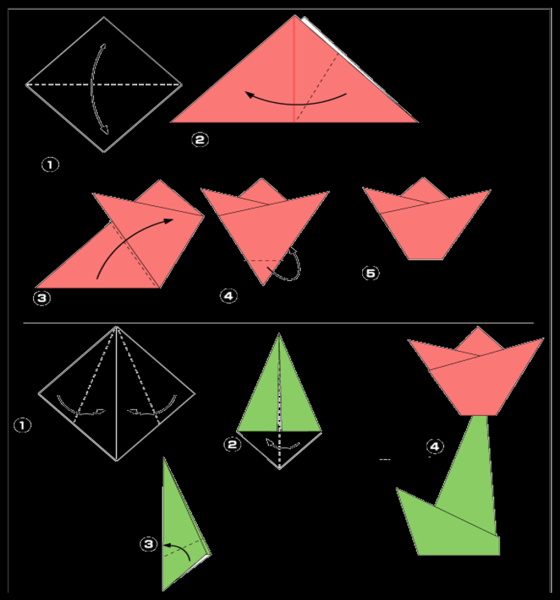 Оригами тюльпан из бумаги для детей 4-5 лет