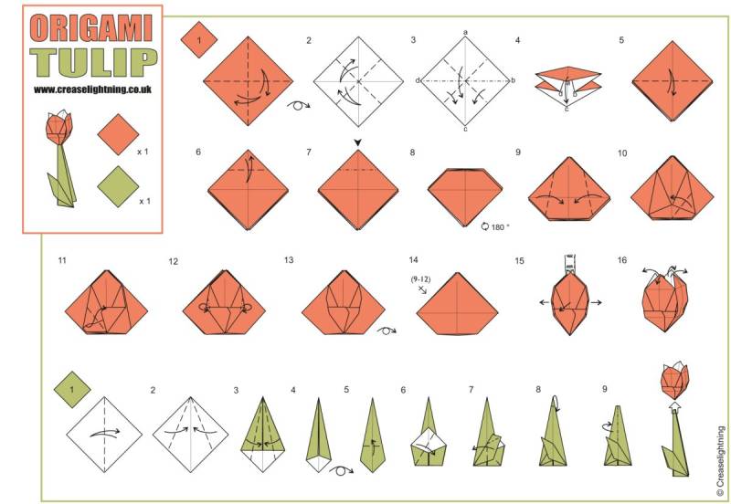 Оригами из бумаги для начинающих тюльпан