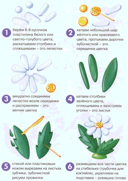 Лепка цветка из пластилина для детей пошагово