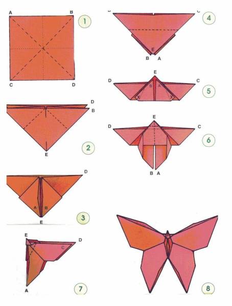 Бабочка из бумаги оригами пошагово